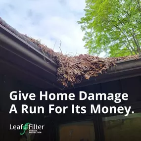 Bild von LeafFilter Gutter Protection