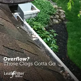 Bild von LeafFilter Gutter Protection