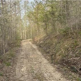 ATV/RAZR trails create an avenue for off-road adventures, perfect for individuals seeking recreational excitement amidst a natural landscape. At the same time, these paths offer a practical solution for property owners, facilitating easy navigation and accessibility across their land.
