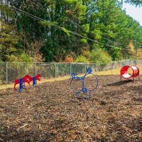 Dog Park at Balfour East Lake