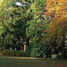 Bild von Kommunales Bestattungshaus der Stadt Chemnitz