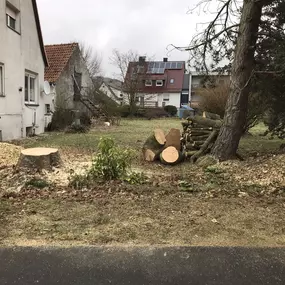 Bild von Baumpflege Astrein
