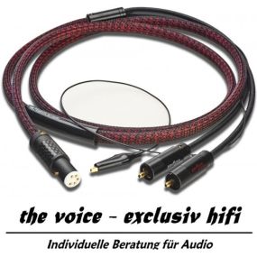 Bild von the voice - exclusiv hifi