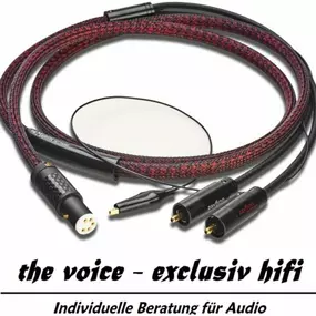 Bild von the voice - exclusiv hifi