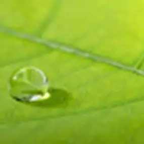 ist1_2753536_waterdrop_on_a_le