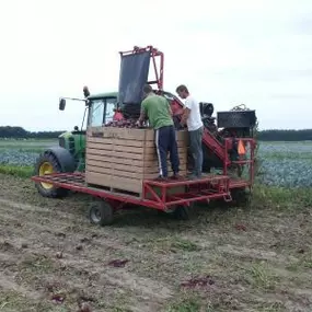 Konijn BV M Agrarisch Loonbedrijf