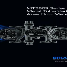 MT3809 - Metal Tube Flowmeters