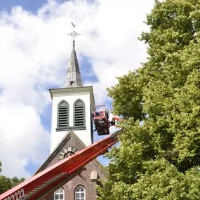 VAN Assema BV Schilders- en Afwerkingsbedrijf