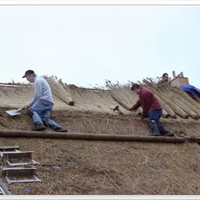 Compagner Rietdekkersbedrijf