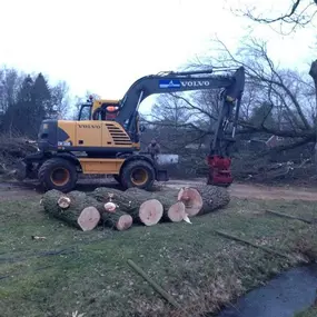 Sietzema Boom- en Bostechniek