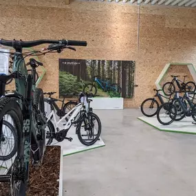 Bild von e-motion e-Bike Welt Wedel