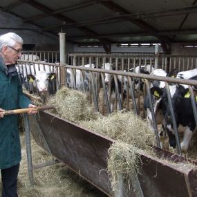 Bild von Zorgboerderij 't Klein Wierke