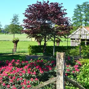 Bild von Zorgboerderij 't Klein Wierke