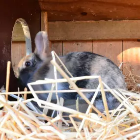 Zorgboerderij 't Klein Wierke