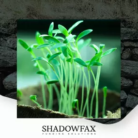 Bild von Shadowfax Funding Solutions Ltd.