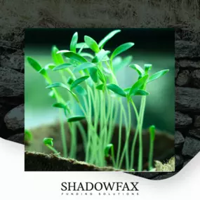 Bild von Shadowfax Funding Solutions Ltd.