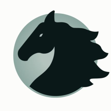 Logo od Shadowfax Funding Solutions Limited