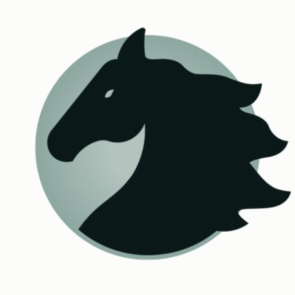 Logo da Shadowfax Funding Solutions Limited