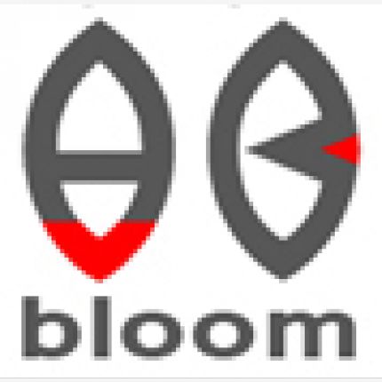 Logo from Bloom Voice & IT Solutions