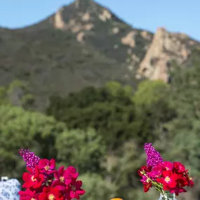 Bild von Monte Nido Clementine Malibu Lake