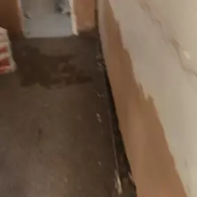 Bild von SB Plastering