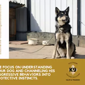 Bild von Southern K-9 Training Solutions