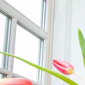 Bild von Rennsteig Apartment Ruhla