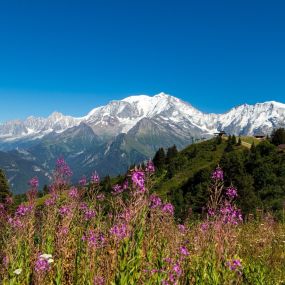 Bild von CVC Savoie Mont Blanc