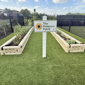 Bild von Primrose School at Wiregrass Ranch