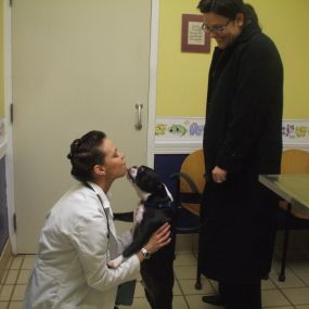 Bild von VCA Pets Are People Too Roswell Animal Hospital