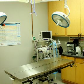 VCA Dahlonega Animal Hospital Surgery Suite