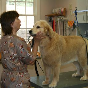 VCA Lilburn Animal Hospital Grooming
