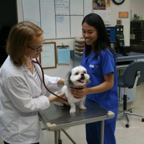 VCA Lilburn Animal Hospital Exam Room