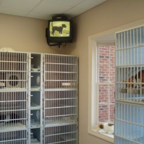 VCA Lilburn Animal Hospital Pet Boarding