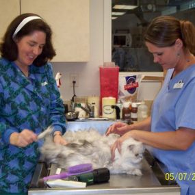 Bild von VCA Swengel Animal Hospital