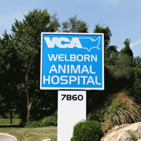 Bild von VCA Welborn Animal Hospital