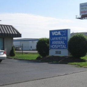 Welcome to VCA Lafayette Animal Hospital!