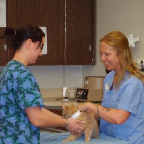 Bild von VCA Franklin Park Animal Hospital