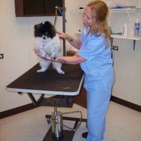 Bild von VCA Franklin Park Animal Hospital