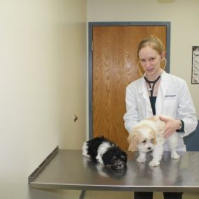 Bild von VCA Worth Animal Hospital