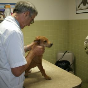 Bild von VCA Joliet Animal Hospital