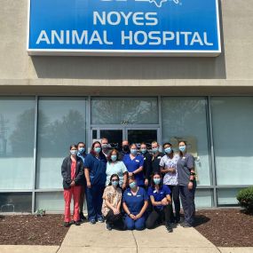 Bild von VCA Noyes Animal Hospital