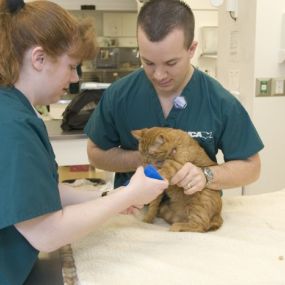 Bild von VCA Aurora Animal Hospital
