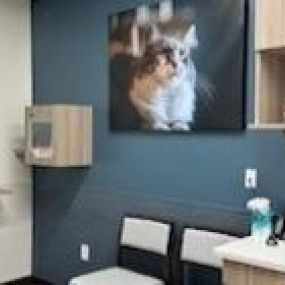 Bild von VCA Brookline Animal Hospital