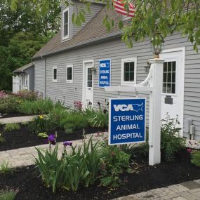 Welcome to VCA Sterling Animal Hospital!