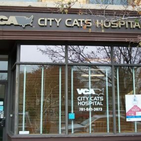 Welcome to VCA City Cats Hospital