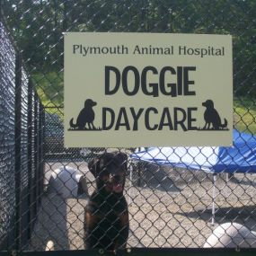 Bild von VCA Plymouth Animal Hospital and Pet Resort