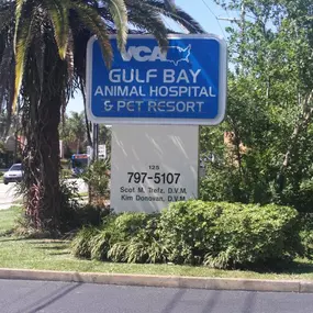 Bild von VCA Gulf Bay Animal Hospital