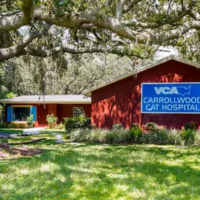 Welcome to VCA Carrollwood Cat Hospital!