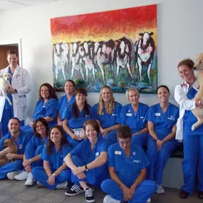 Bild von VCA Village Animal Hospital